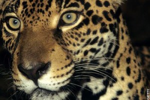 travel-graphics-200_429860a